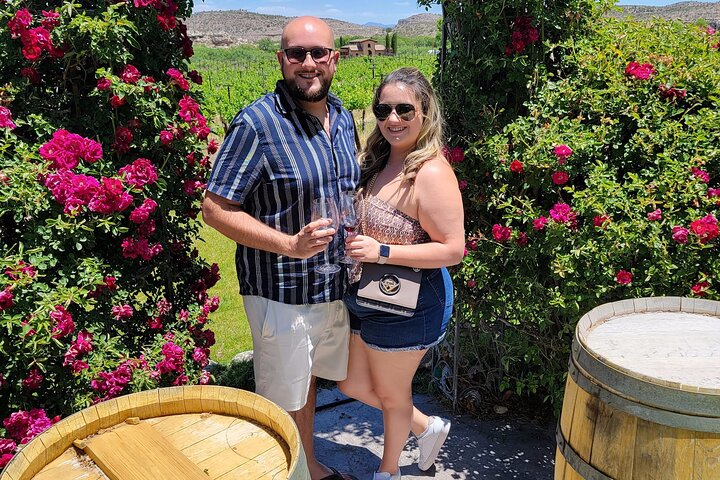  Private Wine Tour, Voted best in town, Tastings Included! - Photo 1 of 25